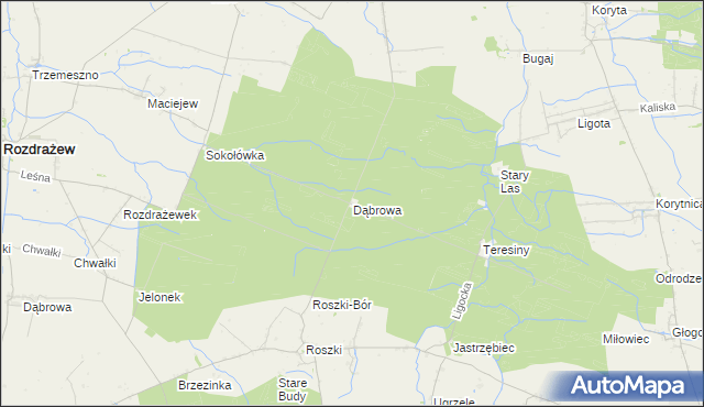 mapa Dąbrowa gmina Krotoszyn, Dąbrowa gmina Krotoszyn na mapie Targeo