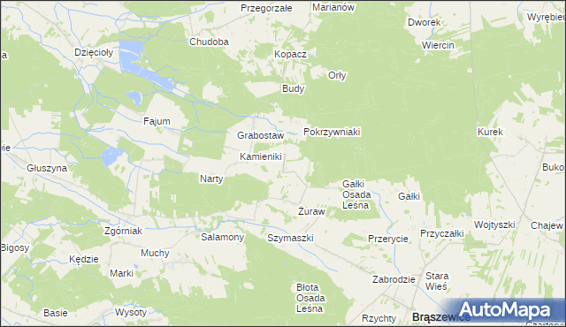 mapa Trzcinka gmina Brąszewice, Trzcinka gmina Brąszewice na mapie Targeo