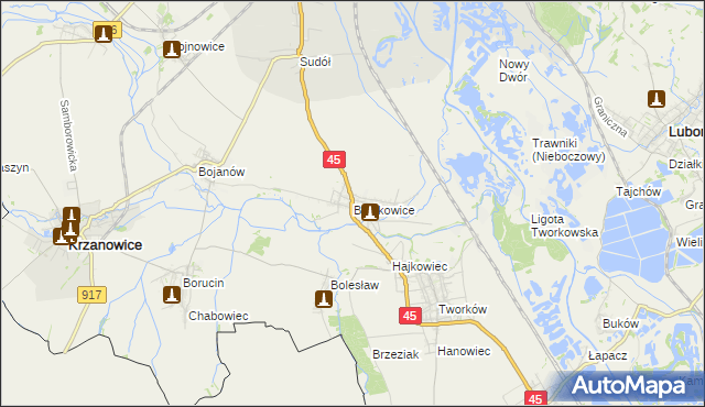 mapa Bieńkowice gmina Krzyżanowice, Bieńkowice gmina Krzyżanowice na mapie Targeo