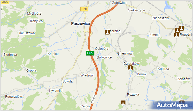 mapa Bolkowice gmina Paszowice, Bolkowice gmina Paszowice na mapie Targeo