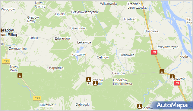 mapa Celinów gmina Grabów nad Pilicą, Celinów gmina Grabów nad Pilicą na mapie Targeo