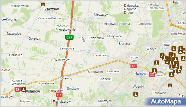 mapa Cerekiew gmina Zakrzew, Cerekiew gmina Zakrzew na mapie Targeo