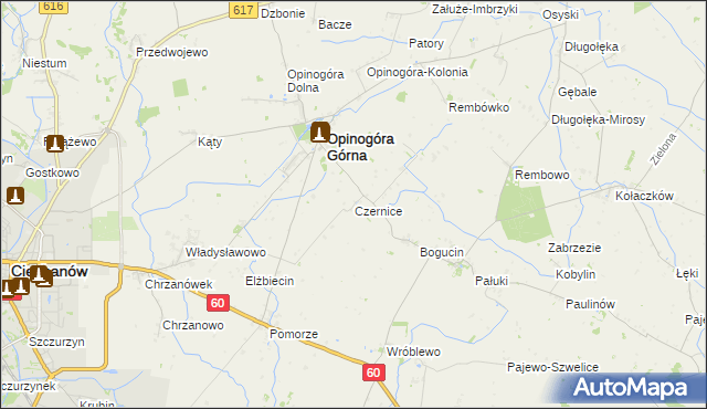 mapa Czernice gmina Opinogóra Górna, Czernice gmina Opinogóra Górna na mapie Targeo