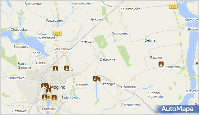 mapa Dąbrówka gmina Mogilno, Dąbrówka gmina Mogilno na mapie Targeo