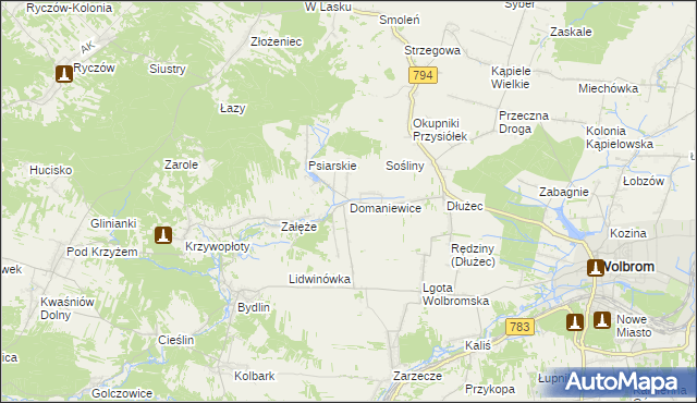 mapa Domaniewice gmina Wolbrom, Domaniewice gmina Wolbrom na mapie Targeo