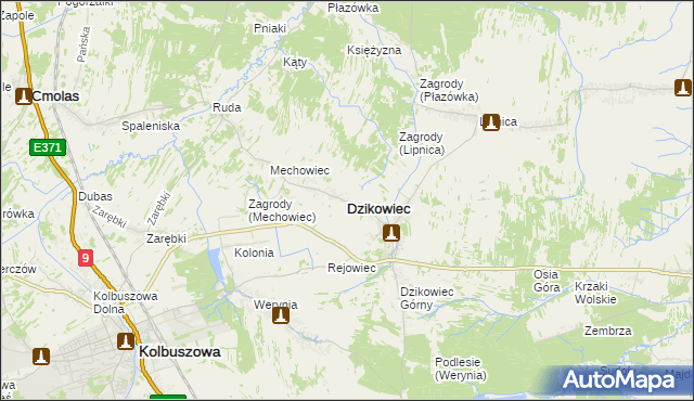 mapa Dzikowiec powiat kolbuszowski, Dzikowiec powiat kolbuszowski na mapie Targeo