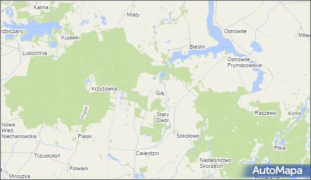 mapa Gaj gmina Witkowo, Gaj gmina Witkowo na mapie Targeo