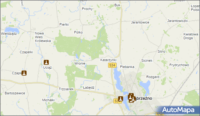 mapa Katarzynki gmina Ryńsk, Katarzynki gmina Ryńsk na mapie Targeo