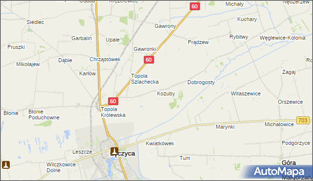 mapa Kozuby gmina Łęczyca, Kozuby gmina Łęczyca na mapie Targeo