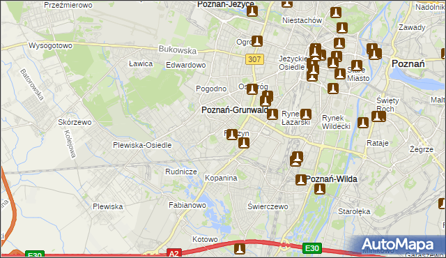 mapa Raszyn gmina Poznań, Raszyn gmina Poznań na mapie Targeo