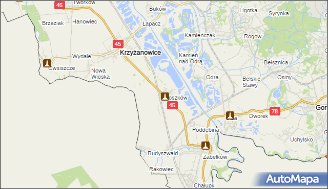 mapa Roszków gmina Krzyżanowice, Roszków gmina Krzyżanowice na mapie Targeo