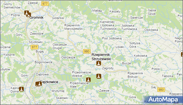 mapa Rzepiennik Strzyżewski, Rzepiennik Strzyżewski na mapie Targeo