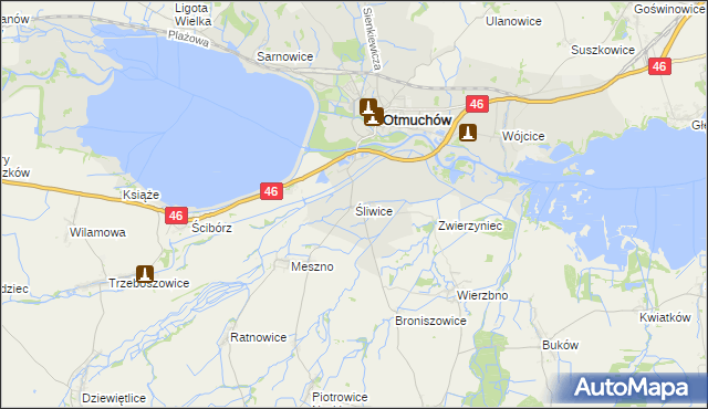 mapa Śliwice gmina Otmuchów, Śliwice gmina Otmuchów na mapie Targeo