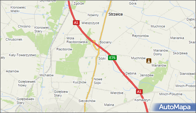 mapa Sójki gmina Strzelce, Sójki gmina Strzelce na mapie Targeo