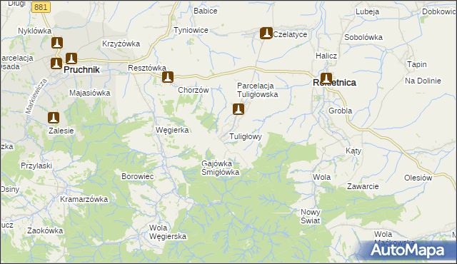 mapa Tuligłowy gmina Rokietnica, Tuligłowy gmina Rokietnica na mapie Targeo