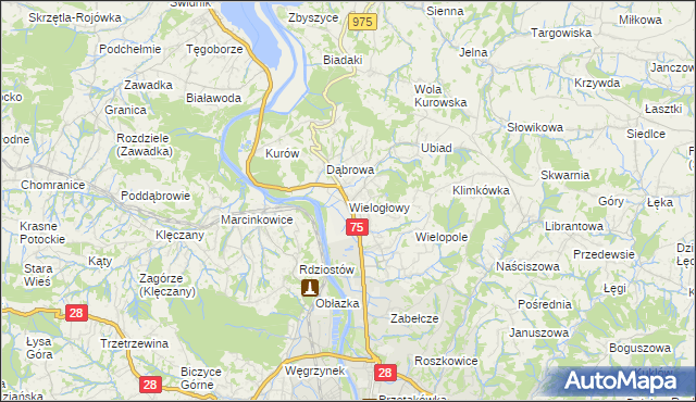 mapa Wielogłowy gmina Chełmiec, Wielogłowy gmina Chełmiec na mapie Targeo