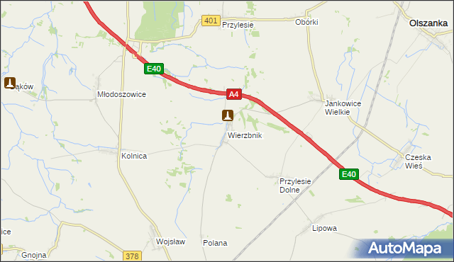mapa Wierzbnik gmina Grodków, Wierzbnik gmina Grodków na mapie Targeo