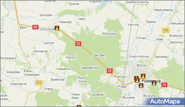 mapa Zakrzew gmina Poddębice, Zakrzew gmina Poddębice na mapie Targeo