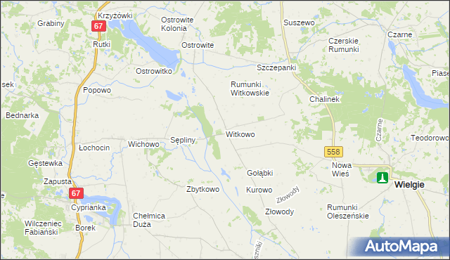 mapa Witkowo gmina Wielgie, Witkowo gmina Wielgie na mapie Targeo