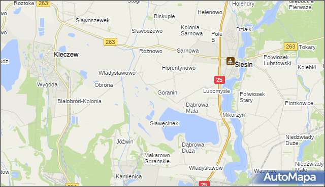 mapa Goraninek gmina Ślesin, Goraninek gmina Ślesin na mapie Targeo