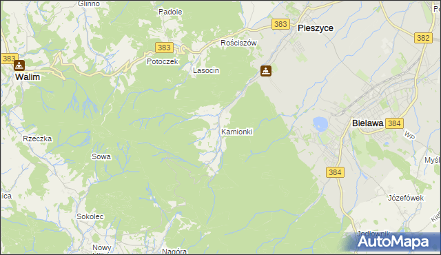 mapa Kamionki gmina Pieszyce, Kamionki gmina Pieszyce na mapie Targeo