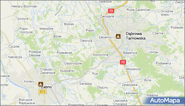 mapa Morzychna, Morzychna na mapie Targeo