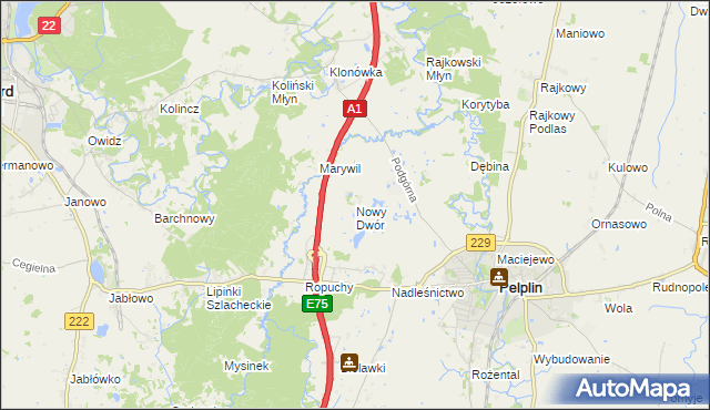 mapa Nowy Dwór gmina Pelplin, Nowy Dwór gmina Pelplin na mapie Targeo