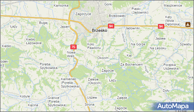 mapa Okocim, Okocim na mapie Targeo