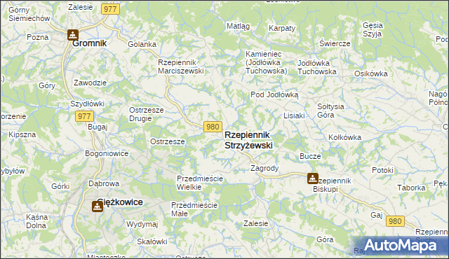 mapa Rzepiennik Strzyżewski, Rzepiennik Strzyżewski na mapie Targeo