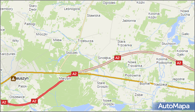 mapa Sinołęka, Sinołęka na mapie Targeo