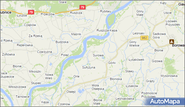 mapa Surowa gmina Borowa, Surowa gmina Borowa na mapie Targeo