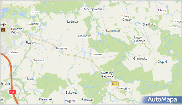 mapa Surowe gmina Pasłęk, Surowe gmina Pasłęk na mapie Targeo