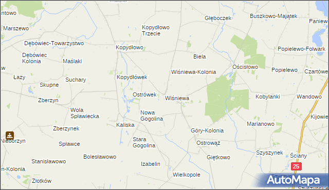 mapa Wiśniewa gmina Wilczyn, Wiśniewa gmina Wilczyn na mapie Targeo