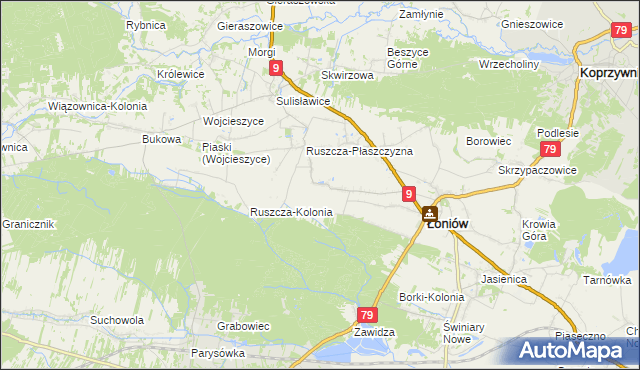 mapa Wnorów, Wnorów na mapie Targeo