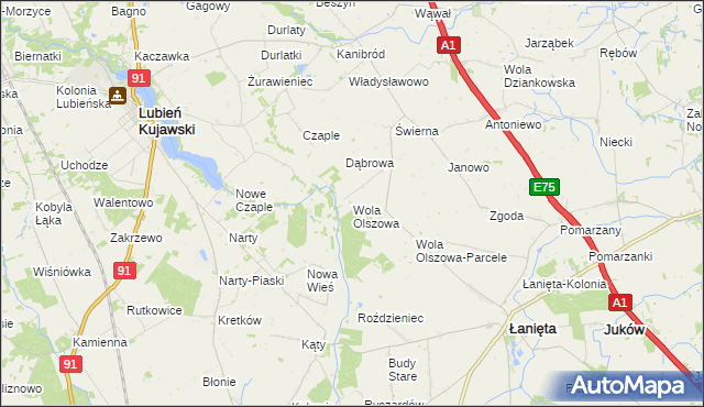 mapa Wola Olszowa, Wola Olszowa na mapie Targeo