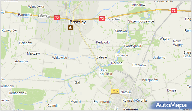 mapa Zalesie gmina Brzeziny, Zalesie gmina Brzeziny na mapie Targeo