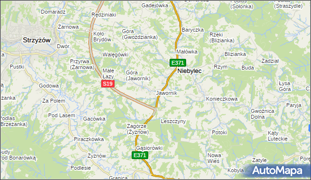 mapa Jawornik gmina Niebylec, Jawornik gmina Niebylec na mapie Targeo