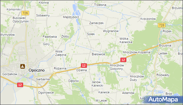 mapa Bielowice gmina Opoczno, Bielowice gmina Opoczno na mapie Targeo