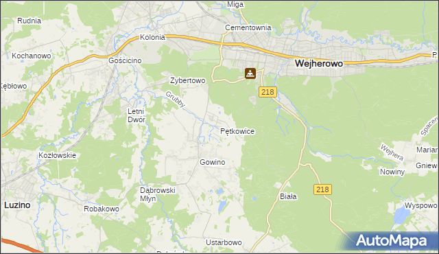mapa Pętkowice gmina Wejherowo, Pętkowice gmina Wejherowo na mapie Targeo