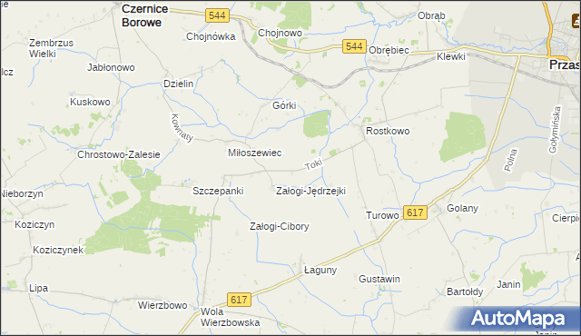 mapa Toki gmina Czernice Borowe, Toki gmina Czernice Borowe na mapie Targeo