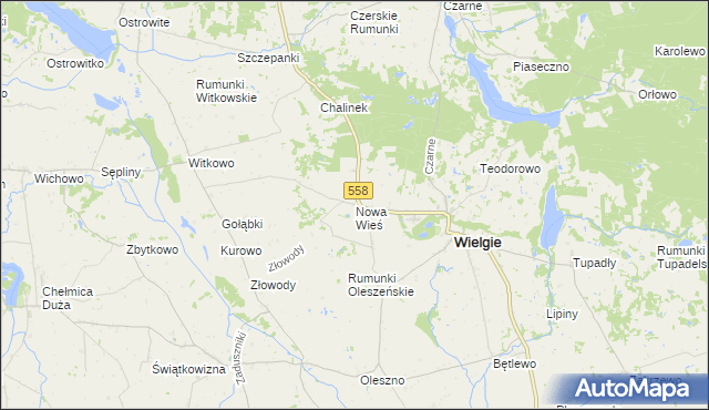 mapa Nowa Wieś gmina Wielgie, Nowa Wieś gmina Wielgie na mapie Targeo