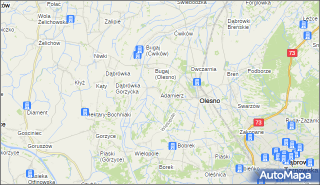 mapa Adamierz gmina Olesno, Adamierz gmina Olesno na mapie Targeo