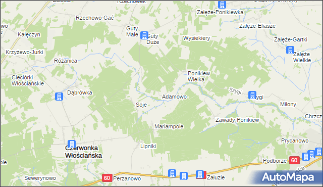 mapa Adamowo gmina Czerwonka, Adamowo gmina Czerwonka na mapie Targeo