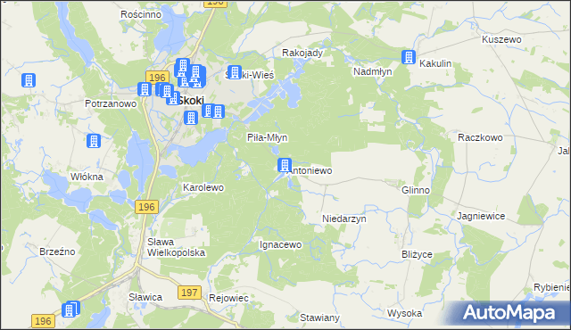 mapa Antoniewo gmina Skoki, Antoniewo gmina Skoki na mapie Targeo