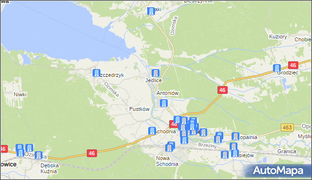 mapa Antoniów gmina Ozimek, Antoniów gmina Ozimek na mapie Targeo