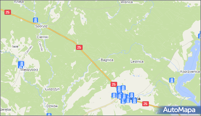 mapa Bagnica gmina Rzeczenica, Bagnica gmina Rzeczenica na mapie Targeo