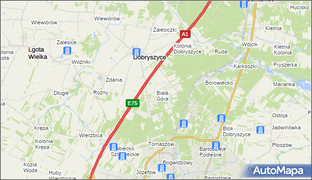 mapa Biała Góra gmina Dobryszyce, Biała Góra gmina Dobryszyce na mapie Targeo