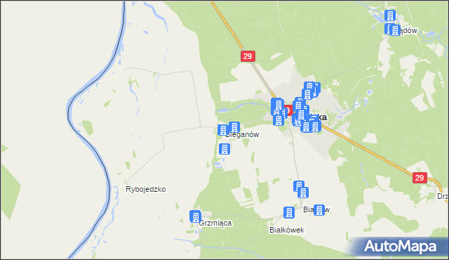 mapa Bieganów gmina Cybinka, Bieganów gmina Cybinka na mapie Targeo