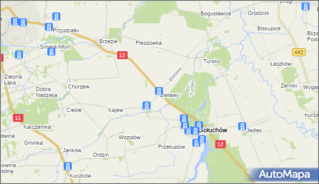 mapa Bielawy gmina Gołuchów, Bielawy gmina Gołuchów na mapie Targeo