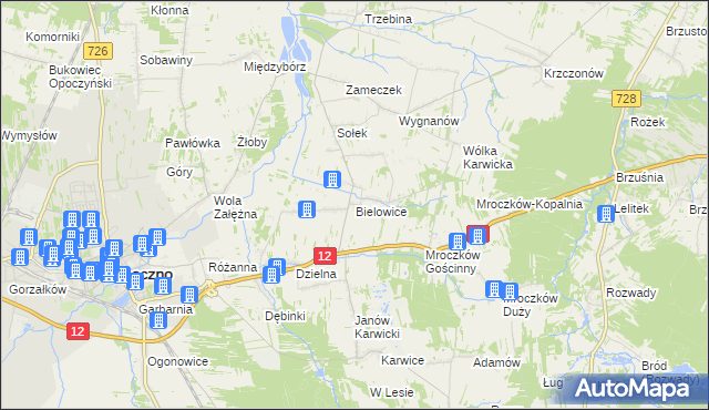 mapa Bielowice gmina Opoczno, Bielowice gmina Opoczno na mapie Targeo